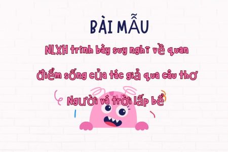 NLXH trình bày suy nghĩ về quan điểm sống của tác giả qua câu thơ Người vá trời lấp bể